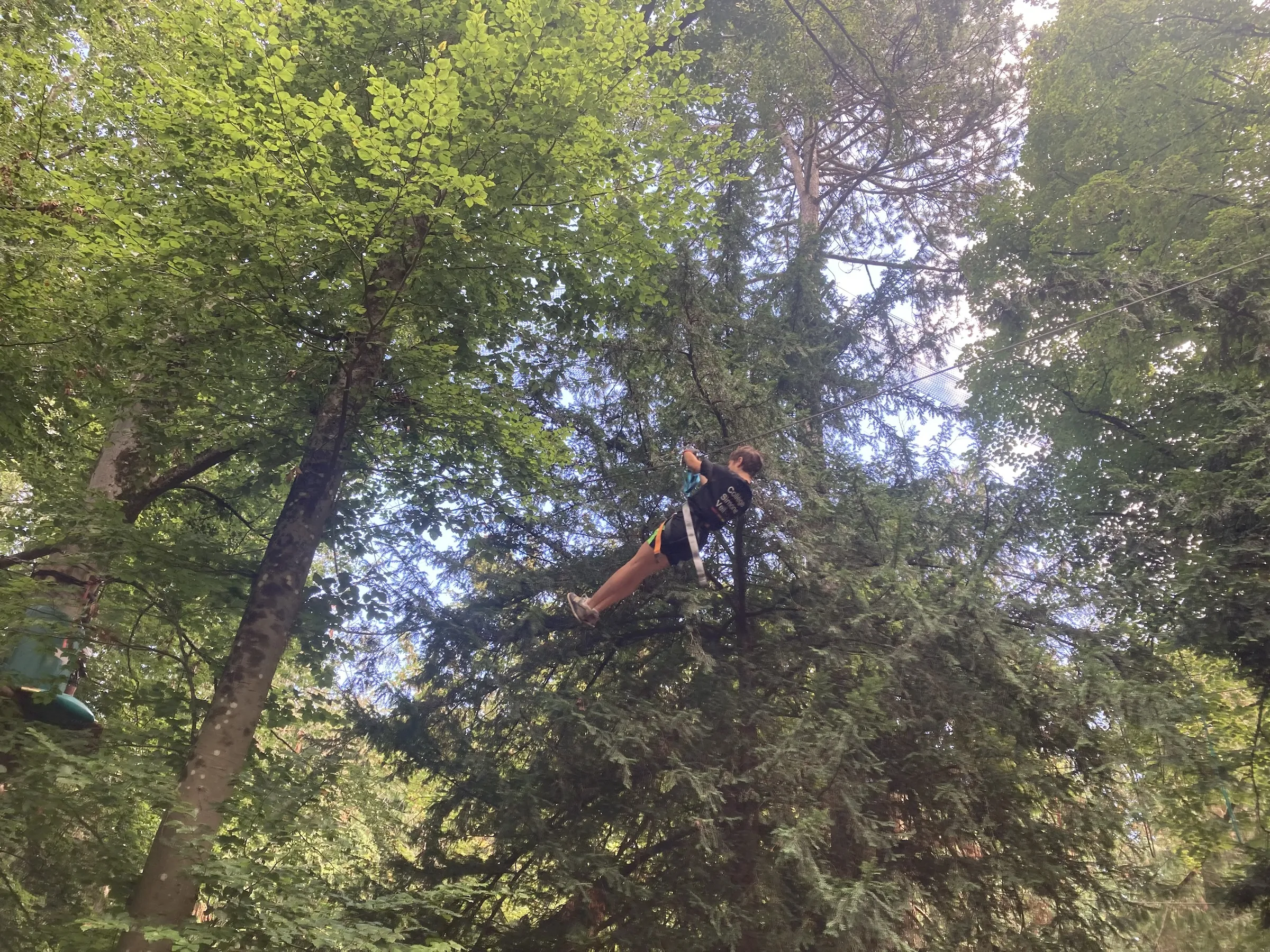 Tyrolienne dans les arbres